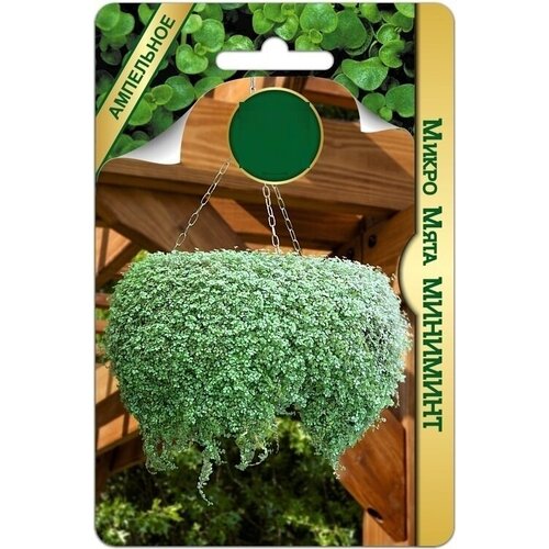 ������ ������ ����������� ���� 5 ������-�����,12-15 �����. ����������� �������, ������� ���������� � ���������������. ���������� ���� ������� ������� ��� ������� ����