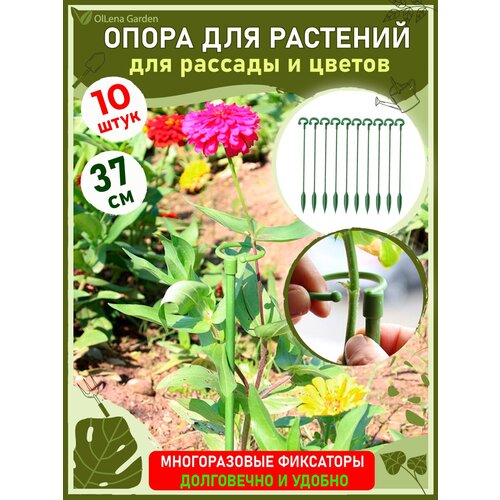 ������ ������ OlLena Garden / ����� ��� �������� � ������� � ������������, ����� ����������� �������� � �������, 37�� / 10 ��. ����