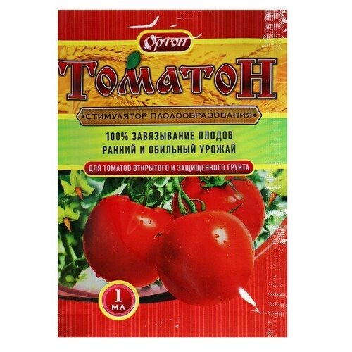 ������ ������ ������� 1�� ����