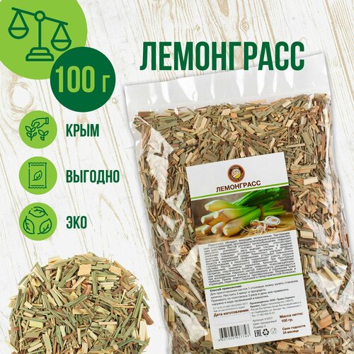 ������ ������ ���������� �������, 100 � ����