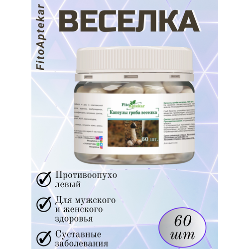 ������ ������ ���� ������� � �������� 60 ��. ����