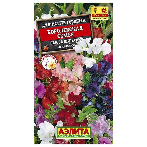 ������ ������ ������� �������� 