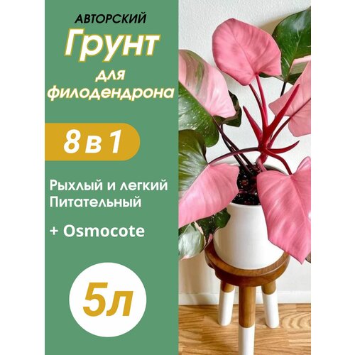 ������ ������ ����� ��� ������������ 5� ����