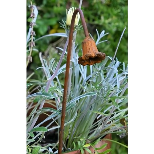 ������ ������ ����� ��� �������� �������� , ��� �������� ����