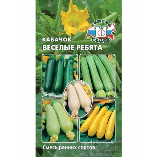 ������ ������ ������� 