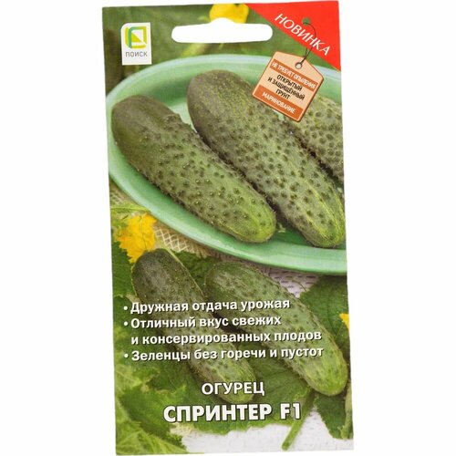 ������ ������ ������ ����� ������ �������� F1 12 ��. ����