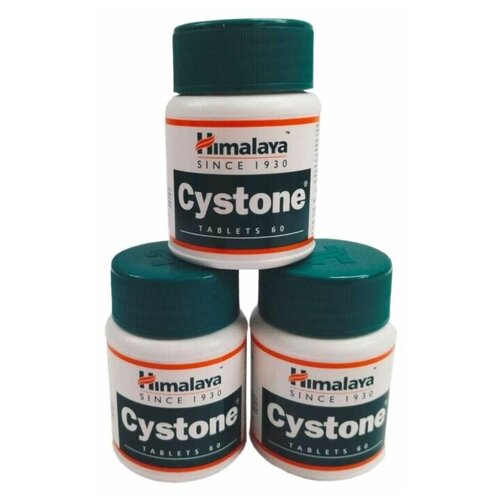 ������ ������ AYURVED-Cyston ��� ������. ����������� ������� ����