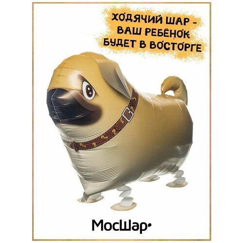 ������ ������ ��������� ��� ������� ������ ������ ���� ����