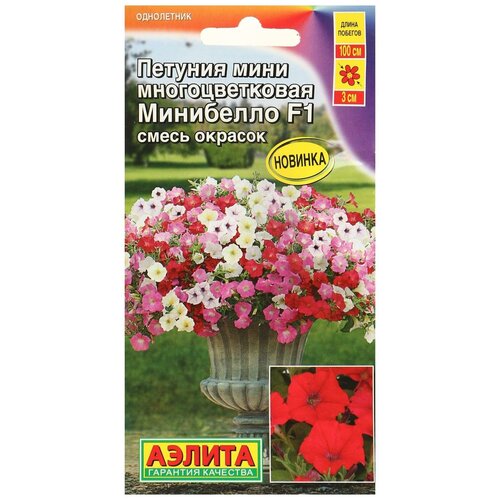 ������ ������ ������ ��������� ������ ������� ���� ��������� F1, ����� ������� 7 �� ����