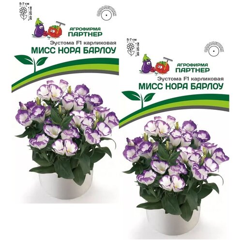 ������ ������ ������ ������� ���������� ���� ���� ������ F1 /��������� �������/ 2 �������� �� 5 ����� ����