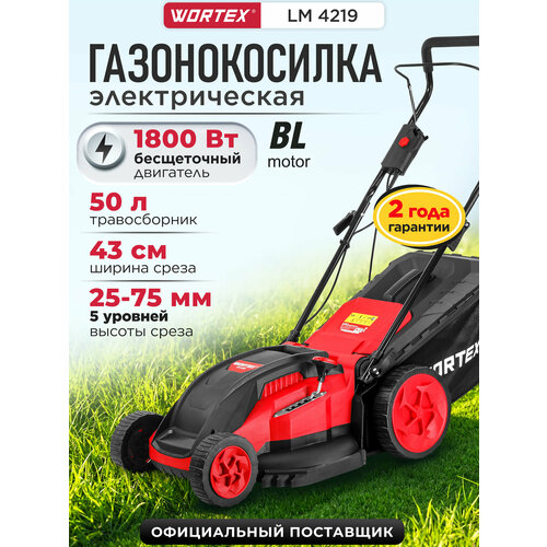 ������ ������ ������������� ������������� � �������������� WORTEX LM 4219 (2334104) ����