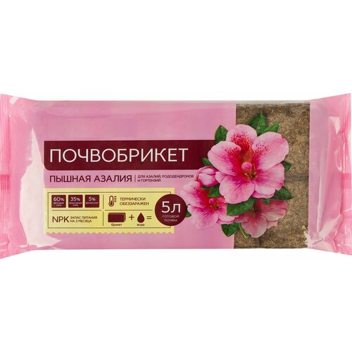 ������ ������ ����������� ��������� 