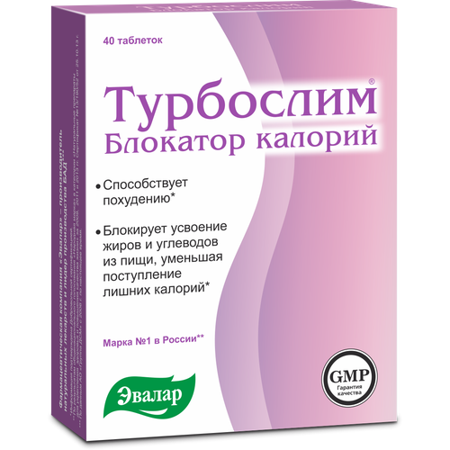 ������ ������ ��������� �������� ������� ���., 40 ��., 1 ��. ����