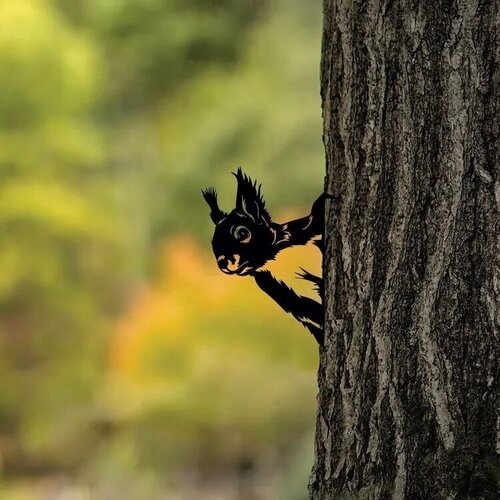 ������ ������ ����� �� ������� ��� ����, ���� 