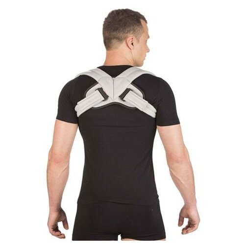 ������ ������ ��������� ������ ������ �-1790, ������ L, ������ 25 ��, ����� ����