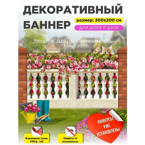 ������ ������ ��������� ������ �� ����� 300 �� � 200 �� � ��������� ����