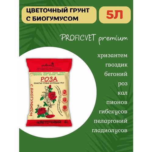 ������ ������ ����� ����� ��� ��� ������� ��������� 