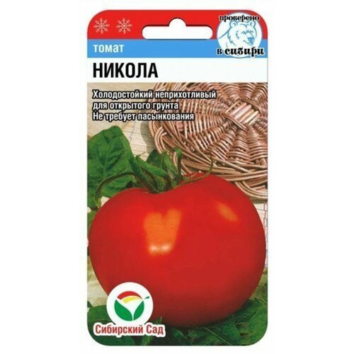 ������ ������ ������ ����� ������ 20�� ��� (��������� ���) ����