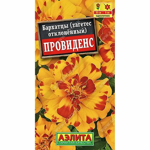 ������ ������ ������ �������� ��������� ����������, (������) 7�� ����