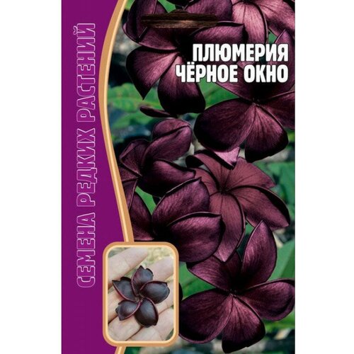 ������ ������ ������ �������� 