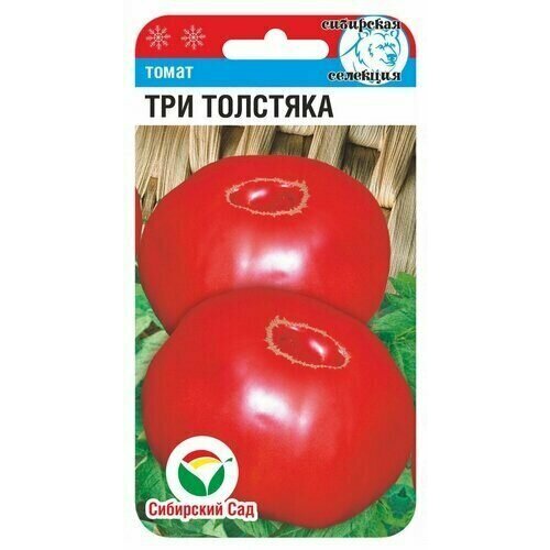 ������ ������ ������ ����� ��� �������� 20�� ������� (��������� ���) ����