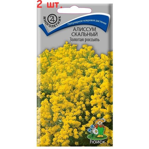 ������ ������ ������� �������� ������� ������� (0,1 �), 2 ������ ����