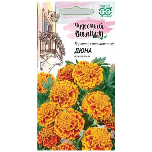 ������ ������ ������. �������� ����������� 