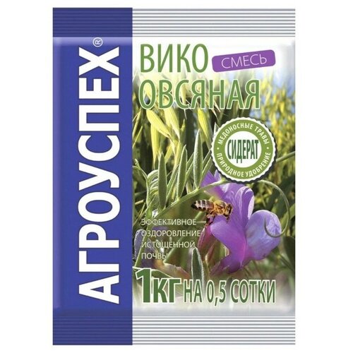 ������ ������ ����� ����� ��������� ����-������� �����, 1 ��, 1 �� ����