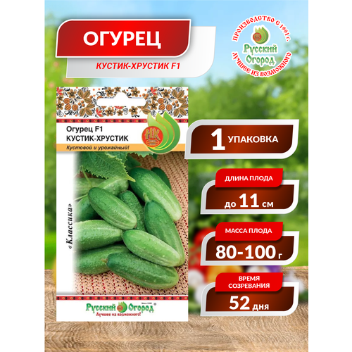 ������ ������ ������. ������ 