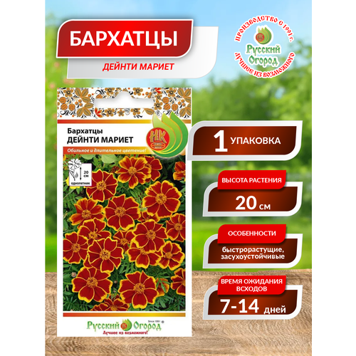 ������ ������ ������. �����. �������� 