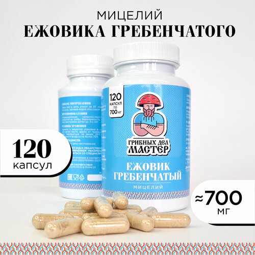 ������ ������ ������ (������) ����������� ������� �������/120 ������/������� ��� ������ ����