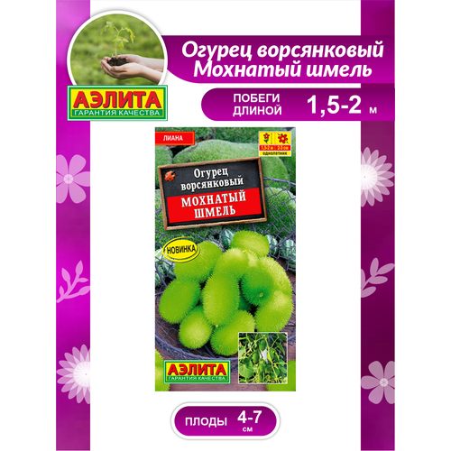 ������ ������ ������ ������ �������� ����� 10 ��. ����