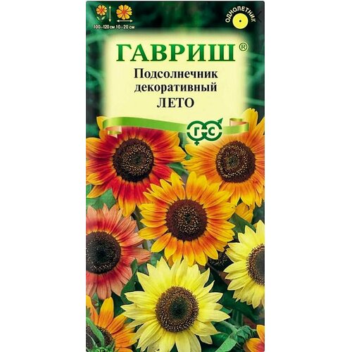 ������ ������ ������������ ������������ ����, 1 �����, ������ 0,5 ��, ������ ����