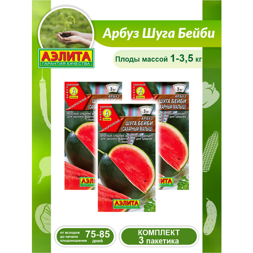 ������ ������ �������� ����� ����� ���� ����� � 3 ��. ����