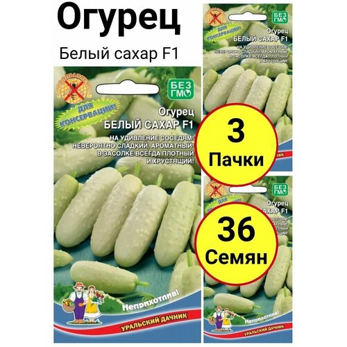 ������ ������ ������ ����� ����� F1, 12 �������, ��������� ������ - 3 ����� ����