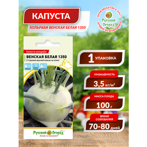 ������ ������ ������. ������� �������� 