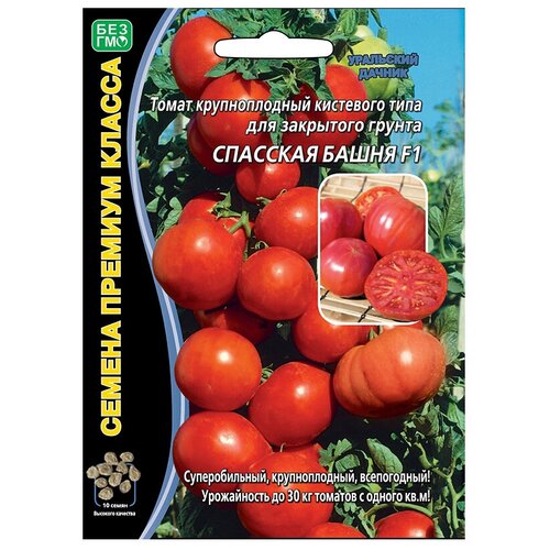 ������ ������ ������ ��������� ������ ������� ����� �������� ����� F1 10 ��. ����