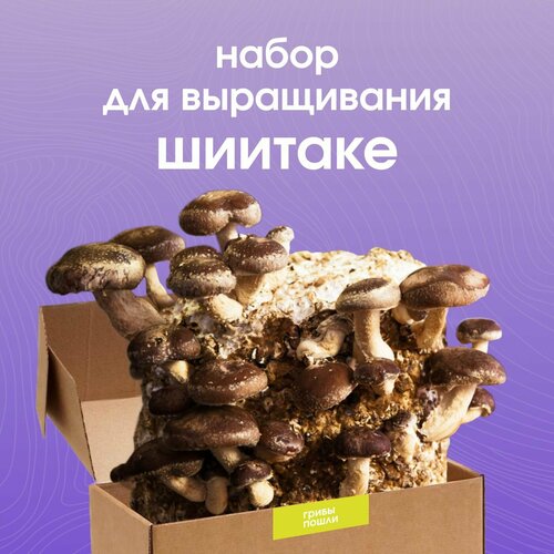 ������ ������ ����� ��� ����������� ������ ������� ����