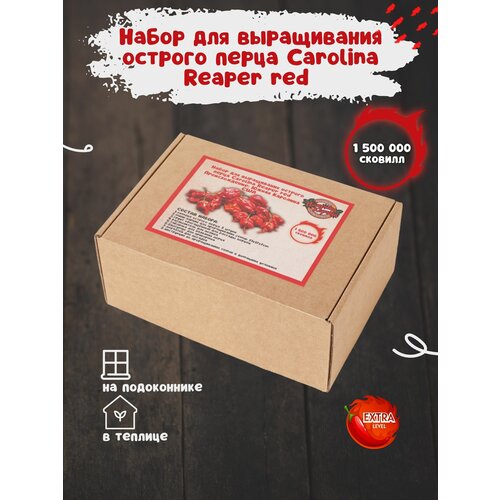 ������ ������ ����� ��� ����������� ������� ����� �������� ����� � �������� ��������, ���� ������ ��� ������� ����