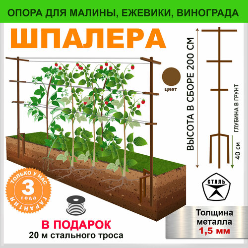 ������ ������ ������� ������� ����