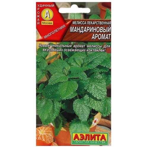 ������ ������ ������ ��������� ������ ������� ������������ ������ ����