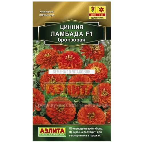 ������ ������ ������. ������ 