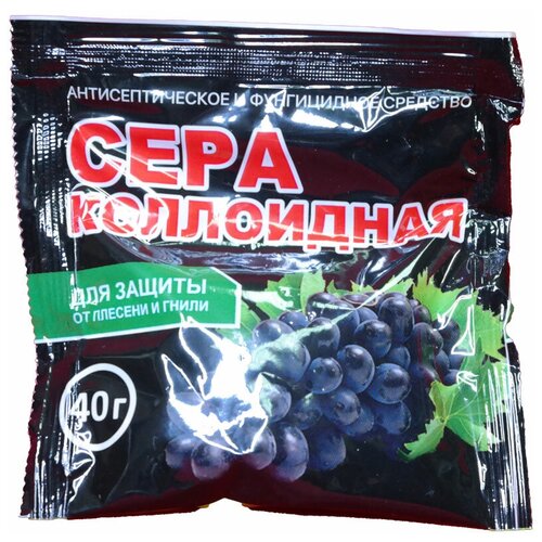 ������ ������ ���� ���������� �����, 40 � ����