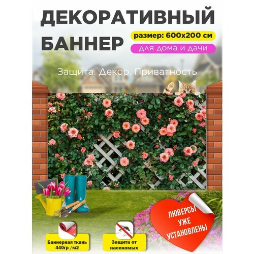 ������ ������ ��������� ������ �� ����� � ��������� 600�200 �� ����