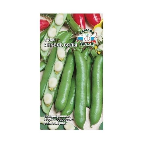 ������ ������ ������ ����� ����� ������ ���� 10 � ����