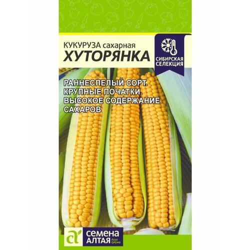 ������ ������ ������ �������� ��������� ����