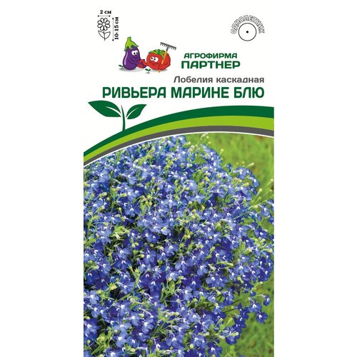 ������ ������ ������ ������� ��������� 