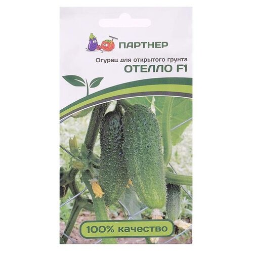 ������ ������ ������ ��������� ������� ������ ������ F1 10 �� ����