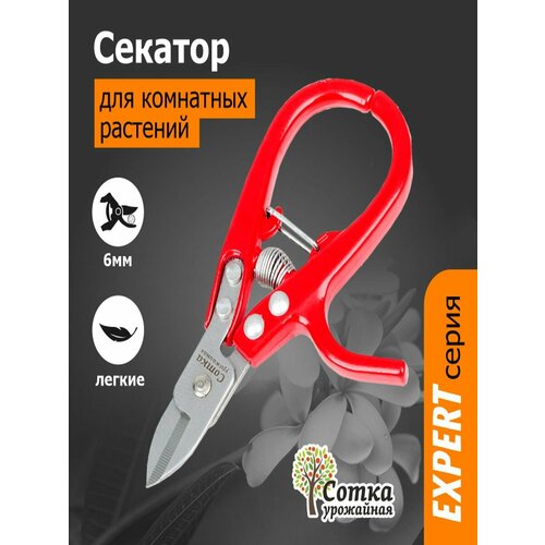 ������ ������ ������� `��������� ����� �������` ��� ��������� �������� 145 �� ����