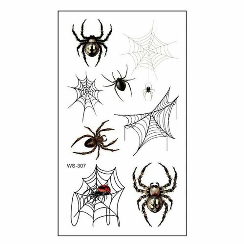 ������ ������ ���������� ���� ��������� ����� �������� ����